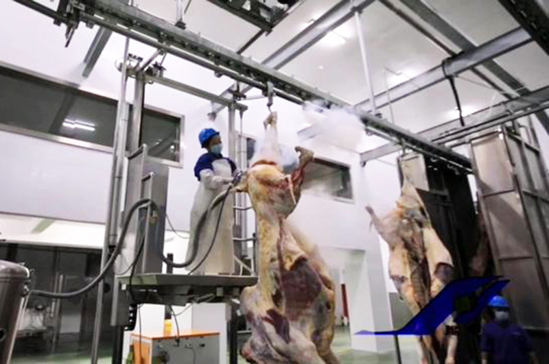 豬牛羊屠宰流水線